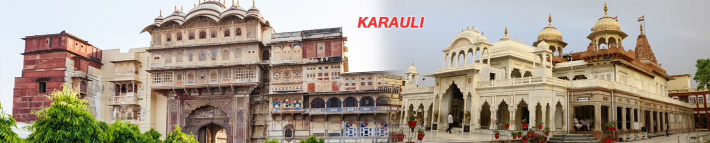 Sri Umda Logistics Packers And Movers Karauli